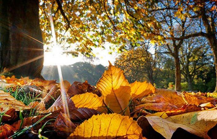 ამას ბევრი არ ელოდა, საშუალო მაჩვენებელთან შედარებით შეცვლილია – როგორი ამინდი იქნება სექტემბრის ბოლომდე საქართველოში