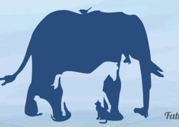 რამდენ ცოცხალ არსებას ხედავთ ნახატზე – საინტერესო ტესტი