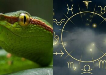 ხის გველის წელი ზოდიაქოს 7 ნიშნისთვის გარდამტეხი იქნება