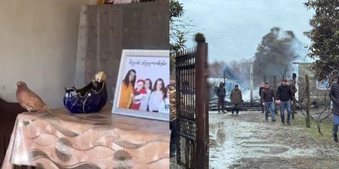 „მტრედები არ შორდებიან ბავშვებს” – სოციალურ ქსელში ემოციური კადრები ვრცელდება