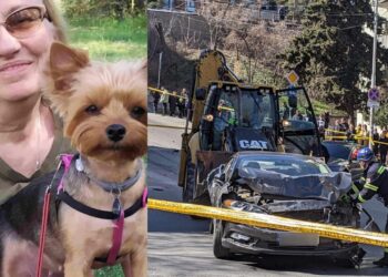 “საშინელი სანახავი იყო ეს ყველაფერი. ტრაქტორი დაგორდა და დაეჯახა ქალს, ძაღლი ეჭირა ხელში, ცუგა დაიღუპა, პატრონი უმძიმეს მდგომარეობაში მყოფი გადაიყვანეს კლინიკაში, სამწუხაროდ ვერ გადარჩა” – რა ტრაგედია დატრიალდა ?