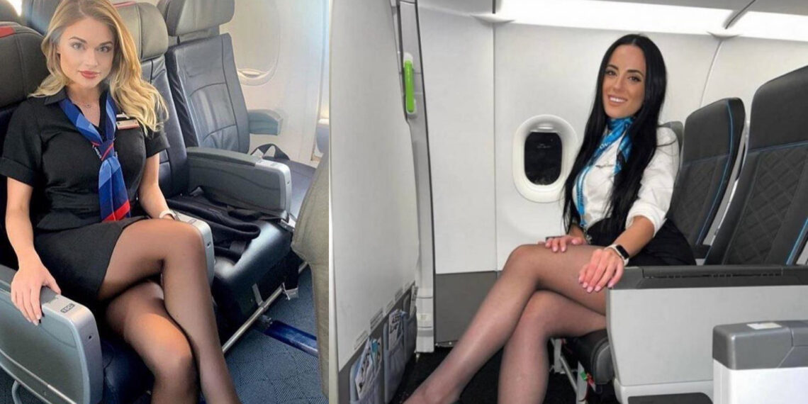 რა არის ის საიდუმლოებები, რომელსაც სტიუარდესები არასდროს გაამხელენ ?