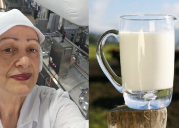 „კვარტალში ერთხელ გასაჯაროვდეს ანალიზის შედეგები… რომ გამოავლენს დარღვევას, მერე ნიანგის ცრემლები არ უნდა მივაყოლოთ…“ – როგორ ეხმაურება ყველის მკვლევარი, ანა მიქაძე-ჩიკვაიძე რძის პროდუქტების სკანდალს