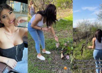 „ჩამოვედი სოფელში…ვიწყებ სახლის აღდგენას, სადაც გავიზარდე“ – რა ვიდეოს აქვეყნებს თამო ვაშალომიძე?