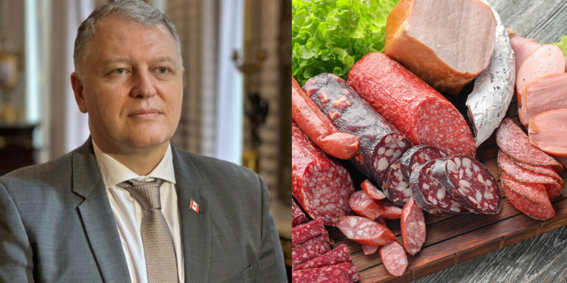 “ყოველდღიურად 1 სოსისის მიღება ზრდის ტიპი ორი დიაბეტის რისკს 11 %-ით, ასევე ზრდის კოლორექტალური კიბოს რისკს 7%-ით” – გიორგი ფხაკაძე საზოგადოებას აფრთხილებს