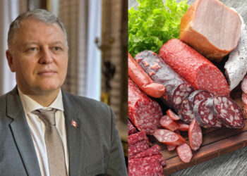 “ყოველდღიურად 1 სოსისის მიღება ზრდის ტიპი ორი დიაბეტის რისკს 11 %-ით, ასევე ზრდის კოლორექტალური კიბოს რისკს 7%-ით” – გიორგი ფხაკაძე საზოგადოებას აფრთხილებს