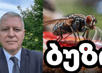 „მწვავე დიარეა, დეჰიდრატაცია და ინფექციური გართულებები, განსაკუთრებით ბავშვებში და ასაკოვან პირებში“ – გიორგი ფხაკაძის გაფრთხილება!