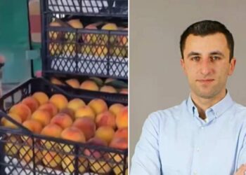 „ძალიან ცუდი რამ მოხდა… ეს არის ჩვეულებრივი კანცეროგენი…“ – ექსპერტი ასახელებს ნივთიერებას, რომელიც გავრცელებულ ვიდეოშია გამოყენებული