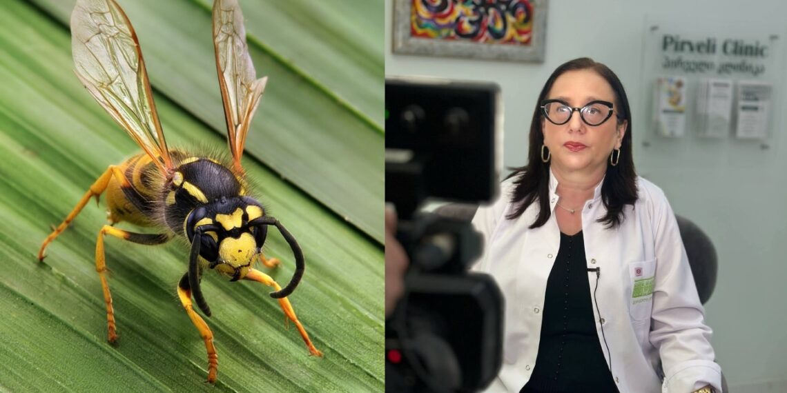 „ახალგაზრდა მამაკაცი დაიღუპა კრაზანის კბენის შედეგად გამოწვეული ანაფილაქსიური შოკით… ნუ აკეთებთ ამას” – ქართველი ექიმი მოსახლეობას აფრთხილებს