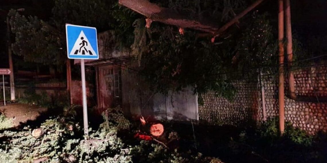 სტიქია კახეთში – ძლიერმა ქარმა და წვიმამ ახმეტასა და თელავში პრობლემები შექმნა