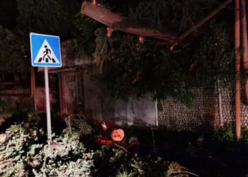 სტიქია კახეთში – ძლიერმა ქარმა და წვიმამ ახმეტასა და თელავში პრობლემები შექმნა