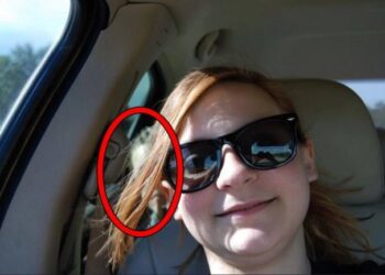 ფოტო, რომელიც სოციალური ქსელების განხილვის საგნად იქცა: ჯერ კიდევ ვერ შენიშნეთ რატომ?