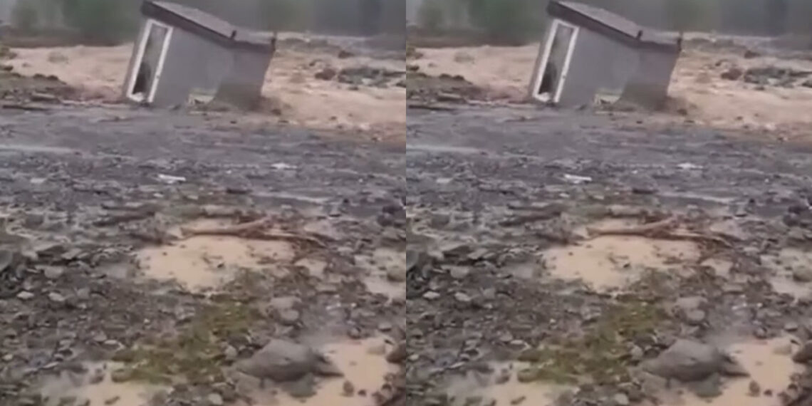 “ბიჭო, ბიჭო! ნახე, “ბუტკა” წაიღო… ვაიმე, რა ამბავია” – კადრები სოციალურ ქსელში ამ წუთებში ვრცელდება