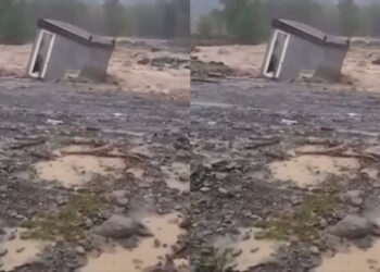 “ბიჭო, ბიჭო! ნახე, “ბუტკა” წაიღო… ვაიმე, რა ამბავია” – კადრები სოციალურ ქსელში ამ წუთებში ვრცელდება