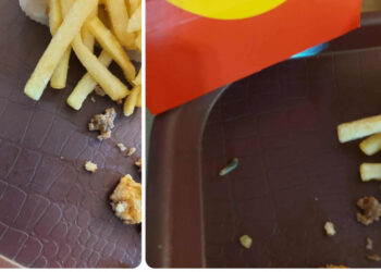 „მშობლებო, იყავით ყურადღებით…“ – რა აღმოაჩინა მომხმარებელმა McDonald’s-ის საბავშვო მენიუში ?