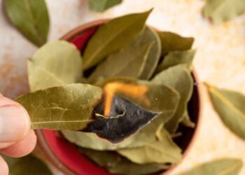 „აიღეთ რვა ცალი დაფნის ფოთოლი, დააწერეთ…“ – მედიუმ ხოსე დეივ კორტეზის რჩევა ფინანსების მოსაზიდად