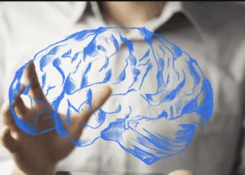 გამოვლინდა ასაკი, რომლის შემდეგაც იწყება ტვინის დაბერება