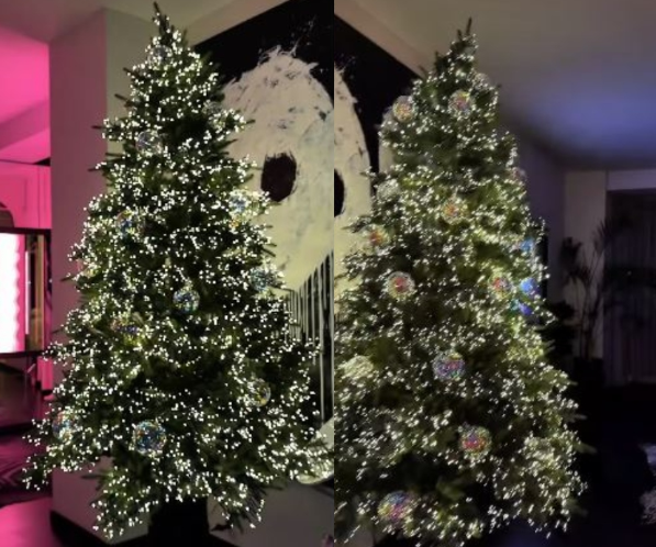 ასეთი ნაძვის ხე არავის არ აქვს – ნახეთ რა ულამაზესად მორთო შორენა ბეგაშვილმა საახალწლოდ ნაძვის ხე