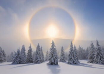 2025 წლის 21 დეკემბერს ზამთრის მზებუდობაა – რა უნდა გააკეთოთ იმისათვის, რომ წარმატება მოიზიდოთ