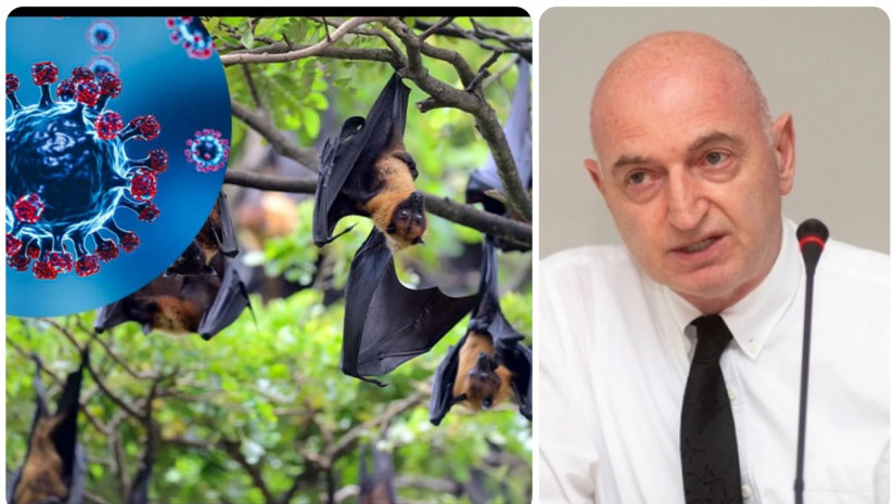 „მაქვს ეჭვი, რომ ეს ვირუსი საქართველოსთვის პრობლემა გახდეს“ – რა სიმპტომები ახასიათებს „ნიპაჰის“ ვირუსს და რამდენად მაღალია სიკვდილიანობის რისკი? ივანე ჩხაიძის განმარტება