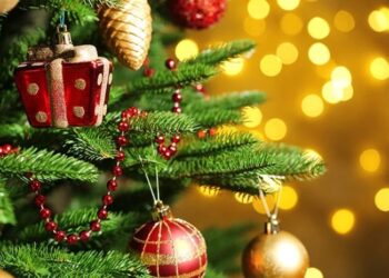 როდის და როგორ უნდა აიღოთ ნაძვის ხე, რომ მთელი წელი წარმატებული გქონდეთ – ექსპერტების რჩევები