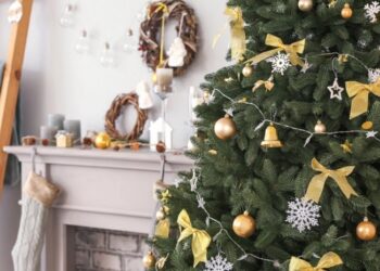 როდის უნდა აიღოთ ნაძვის ხე, რომ თავიდან აიცილოთ უიღბლობა