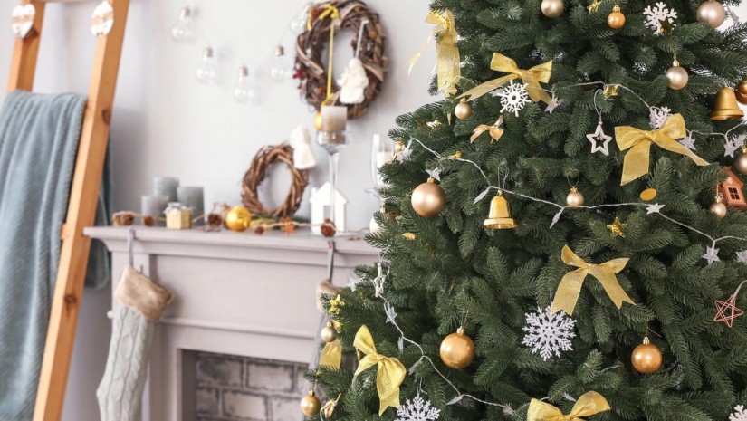 როდის უნდა აიღოთ ნაძვის ხე, რომ თავიდან აიცილოთ უიღბლობა