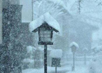 ისტორიული მინუსი – როდის დაფიქსირდა ყველაზე ძლიერი ყინვა საქართველოში