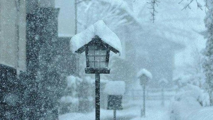 ისტორიული მინუსი – როდის დაფიქსირდა ყველაზე ძლიერი ყინვა საქართველოში