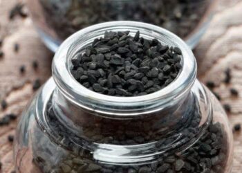 “მცენარე რომელიც ყველაფერს კურნავს სიკვდილის გარდა, ეს ყველამ უნდა წაიკითხოს!..”