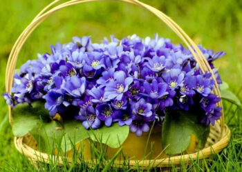 „3 რამ, რაც არავითარ შემთხვევაში არ უნდა გააკეთო 3 მარტს“ – ეზოთერიკოსის სასარგებლო რჩევა