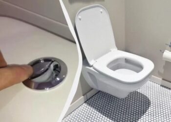 რისთვის აქვს უნიტაზს წყლის ჩარეცხვის ორი ღილაკი და არა ერთი: საქმე მხოლოდ წყლის დაზოგვაში არ არის