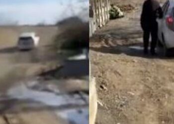 ” ეს ხდება ზაჰესის სასაფლაოზე, კამერა ჩავრთე თუ არა, თქვენც ხედავთ როგორ გარბის” – რა კადრები გადაიღო მოქალაქემ სასაფლაოზე?