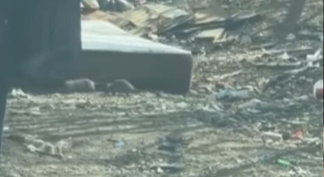 რა დააფიქსირა კამერამ დიდ დიღომში – ამსახველი კადრები სოციალურ ქსელში ვრცელდება