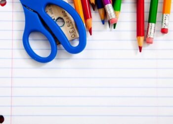 რვეულში „მინდორი“ სილამაზისთვის არ მოუგონიათ: საინტერესო ისტორიული მიზეზი