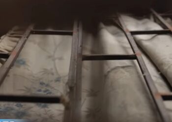 შვილი დედის ცხედარს 2 წელი საკუთარ საძინებელში, ზეწარში გახვეული მალავდა – რა მოხდა თბილისის ცენტრში